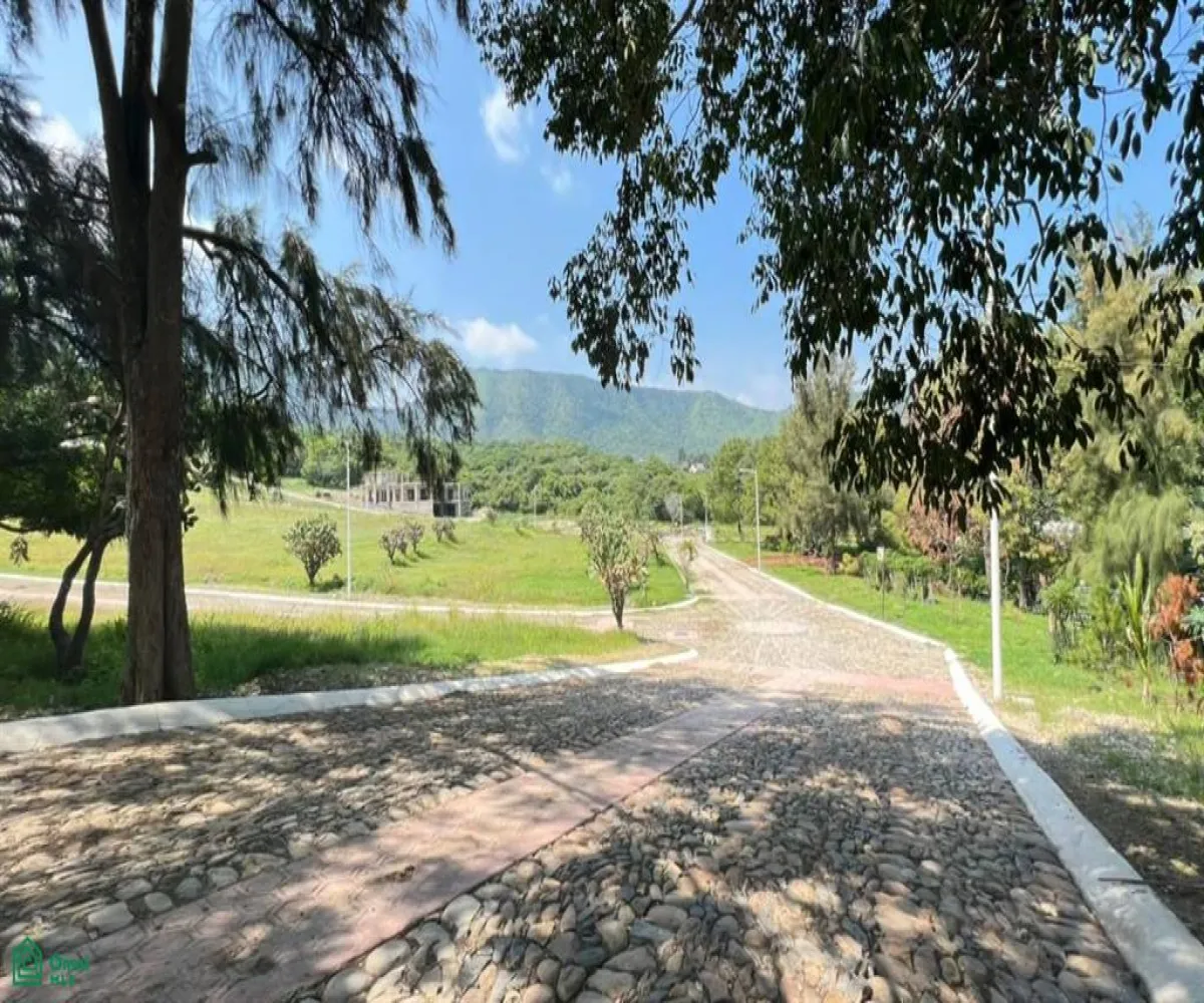 Terreno En Venta,Chapala Centro,Paseo del Arroyo Lote 61, Chapala, Jalisco 45900,Paseo del Arroyo,MX2323640 Terreno En Venta,Chapala Centro,Paseo del Arroyo Lote 61, Chapala, Jalisco 45900,Paseo del Arroyo,MX2323640