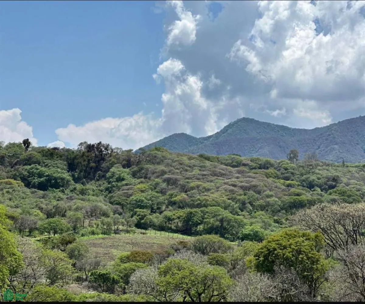 Terreno En Venta,Chapala Centro,Paseo del Arroyo Lote 76, Chapala, Jalisco 45900,Paseo del Arroyo,MX2323734 Terreno En Venta,Chapala Centro,Paseo del Arroyo Lote 76, Chapala, Jalisco 45900,Paseo del Arroyo,MX2323734