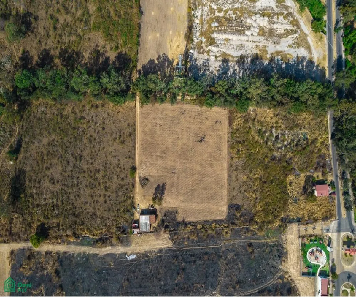 Local En Venta,Copalita,Carr. a Colotlán 10, Zapopan, Jalisco 45200,Carr. a Colotlán,MX23394075