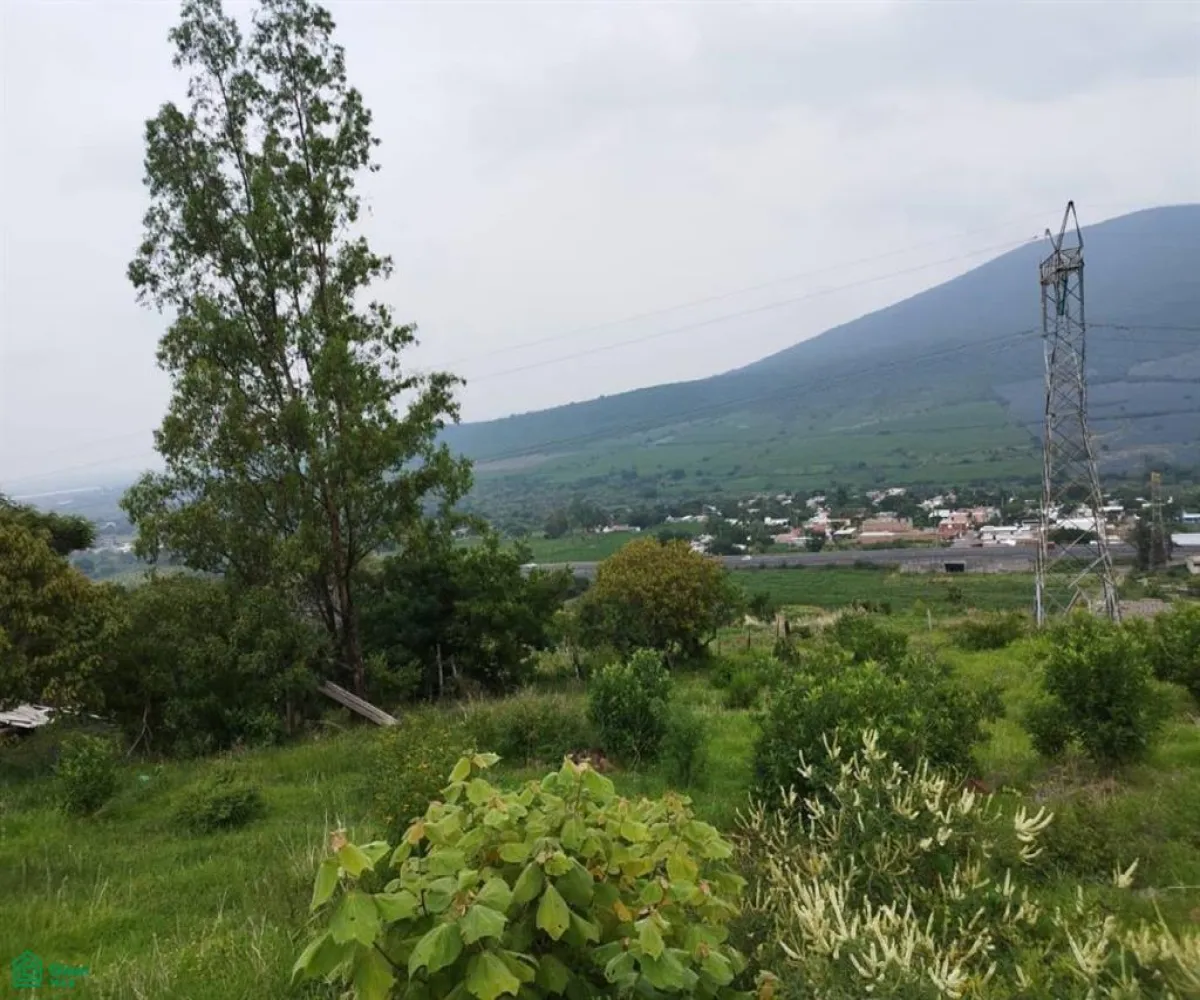 Terreno En Venta,Atotonilquillo,Carretera Guadalajara-Ocotlán 20, Chapala, Jalisco 45930,Carretera Guadalajara-Ocotlán,MX23498200 Terreno En Venta,Atotonilquillo,Carretera Guadalajara-Ocotlán 20, Chapala, Jalisco 45930,Carretera Guadalajara-Ocotlán,MX23498200