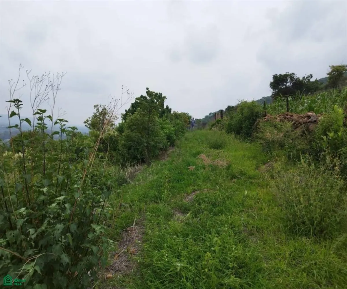 Terreno En Venta,Atotonilquillo,Carretera Guadalajara-Ocotlán 20, Chapala, Jalisco 45930,Carretera Guadalajara-Ocotlán,MX23498200 Terreno En Venta,Atotonilquillo,Carretera Guadalajara-Ocotlán 20, Chapala, Jalisco 45930,Carretera Guadalajara-Ocotlán,MX23498200