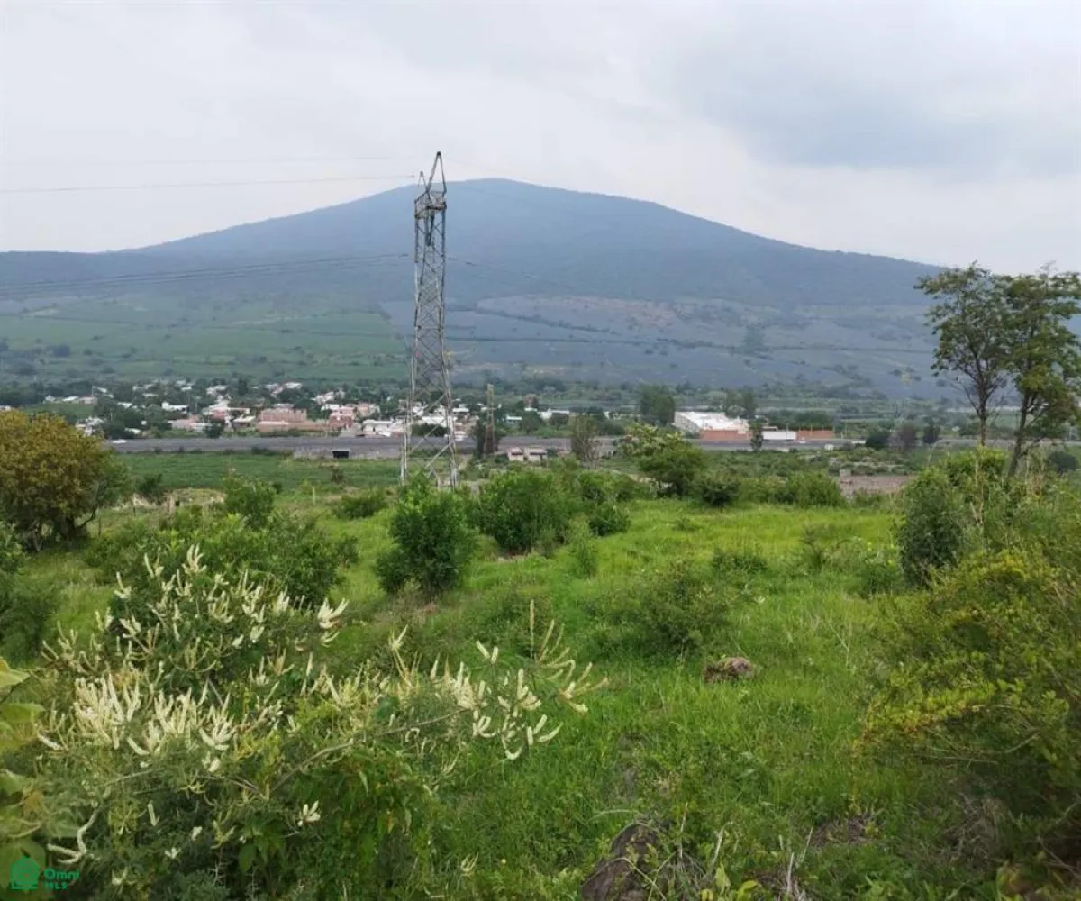 Terreno En Venta,Atotonilquillo,Carretera Guadalajara-Ocotlán 20, Chapala, Jalisco 45930,Carretera Guadalajara-Ocotlán,MX23498200 Terreno En Venta,Atotonilquillo,Carretera Guadalajara-Ocotlán 20, Chapala, Jalisco 45930,Carretera Guadalajara-Ocotlán,MX23498200