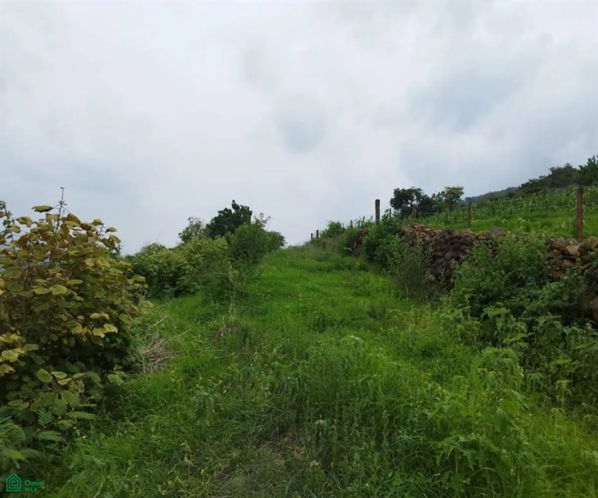 Terreno En Venta,Atotonilquillo,Carretera Guadalajara-Ocotlán 20, Chapala, Jalisco 45930,Carretera Guadalajara-Ocotlán,MX23498200 Terreno En Venta,Atotonilquillo,Carretera Guadalajara-Ocotlán 20, Chapala, Jalisco 45930,Carretera Guadalajara-Ocotlán,MX23498200