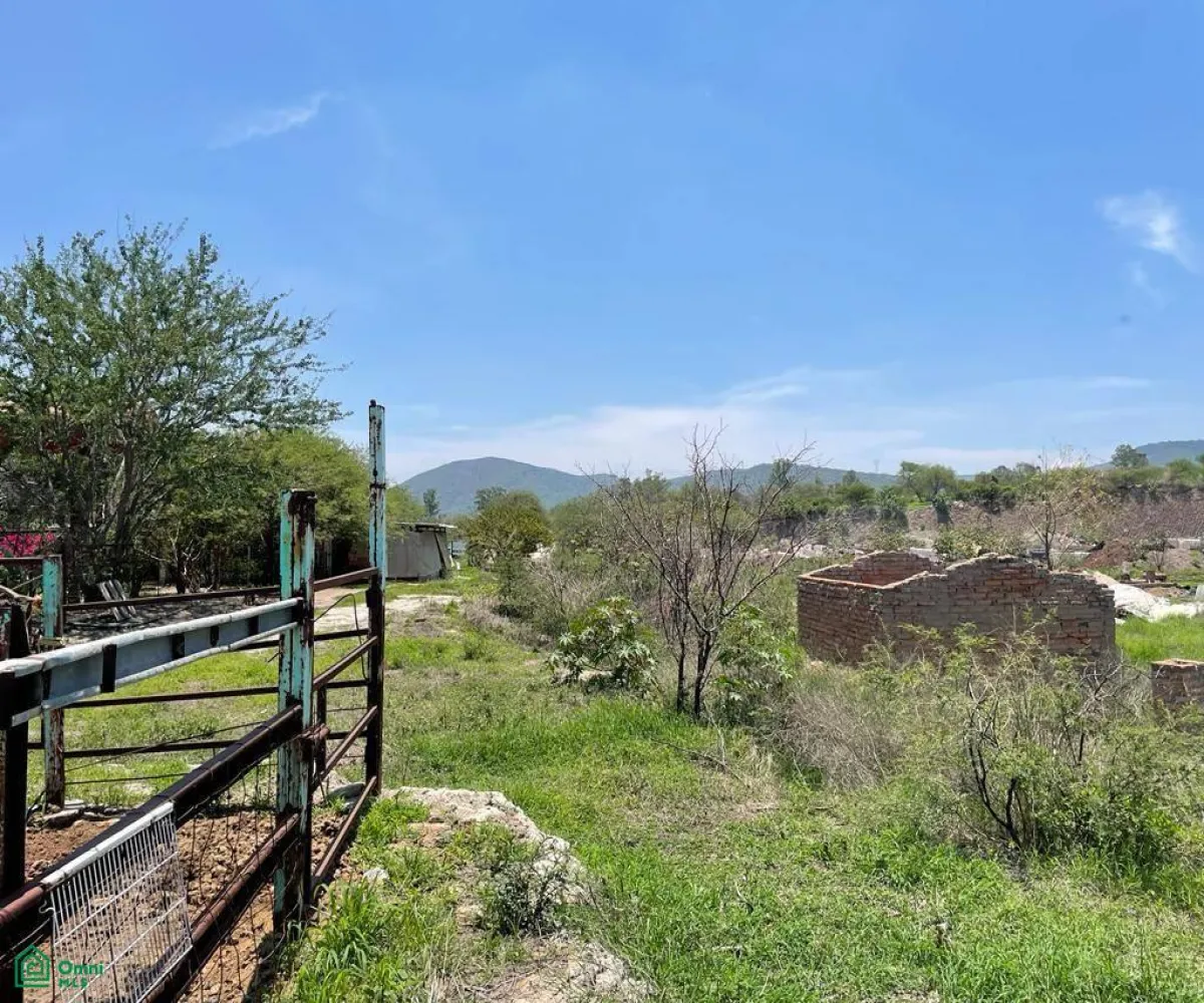 Terreno En Venta,La Teja,Parcela 63 P3 / 4, Tlajomulco de Zuniga, Jalisco 45640,Parcela,MX23499158
