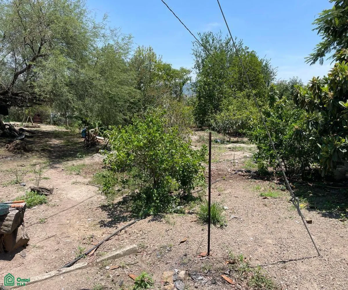 Terreno En Venta,La Teja,Parcela 63 P3 / 4, Tlajomulco de Zuniga, Jalisco 45640,Parcela,MX23499158