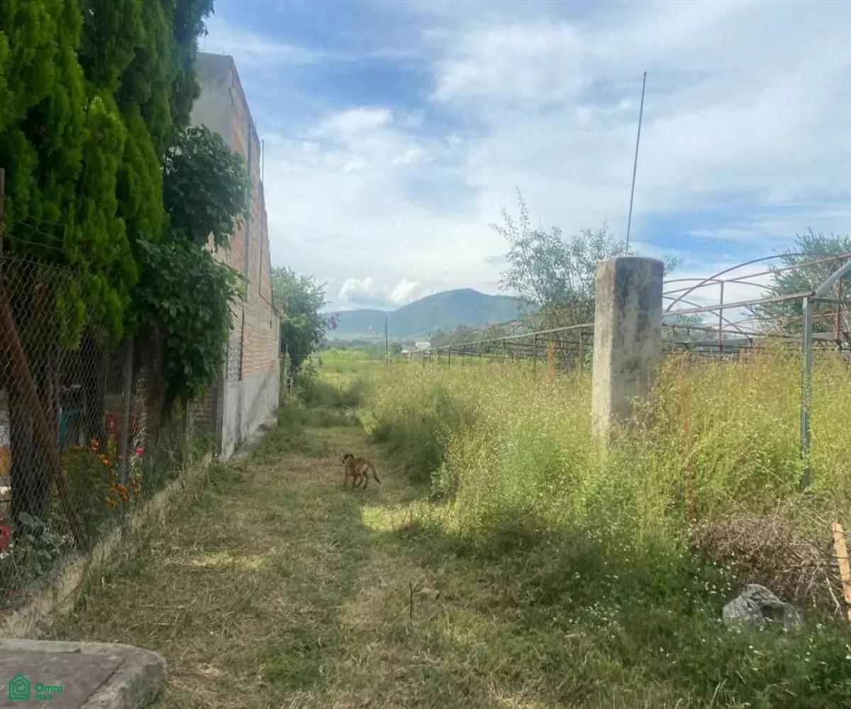 Local En Venta,San Sebastián El Grande,a 730 metros por brecha de av jesús michel gonzá s/n, Tlajomulco de Zuniga, Jalisco 45650,a 730 metros por brecha de av jesús michel gonzá,MX23535592
