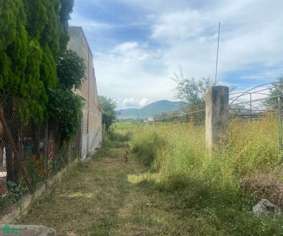 Local En Venta,San Sebastián El Grande,a 730 metros por brecha de av jesús michel gonzá s/n, Tlajomulco de Zuniga, Jalisco 45650,a 730 metros por brecha de av jesús michel gonzá,MX23535592