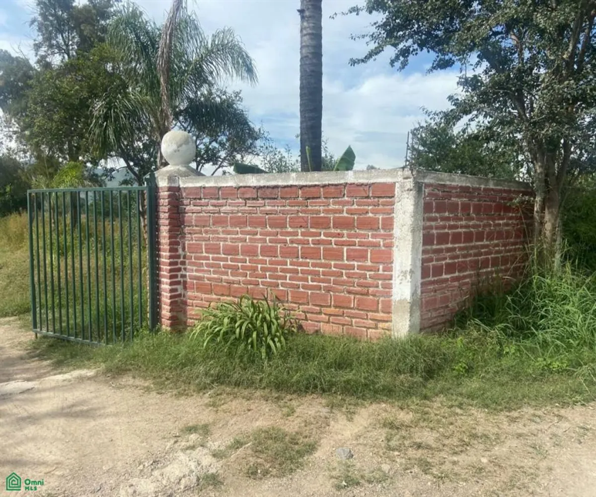 Local En Venta,San Sebastián El Grande,a 730 metros por brecha de av jesús michel gonzá s/n, Tlajomulco de Zuniga, Jalisco 45650,a 730 metros por brecha de av jesús michel gonzá,MX23535592
