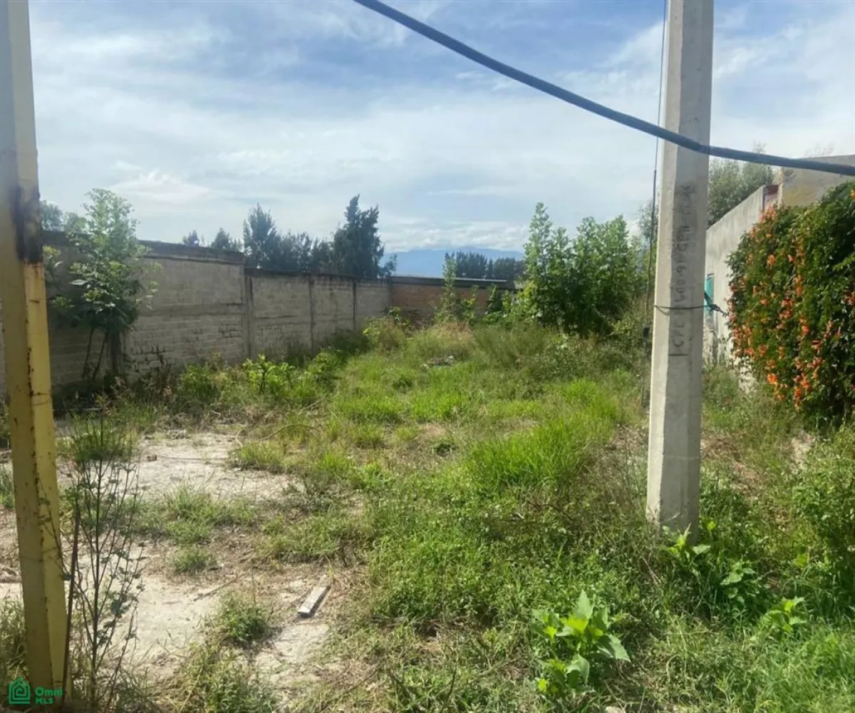 Local En Venta,San Sebastián El Grande,a 730 metros por brecha de av jesús michel gonzá s/n, Tlajomulco de Zuniga, Jalisco 45650,a 730 metros por brecha de av jesús michel gonzá,MX23535592