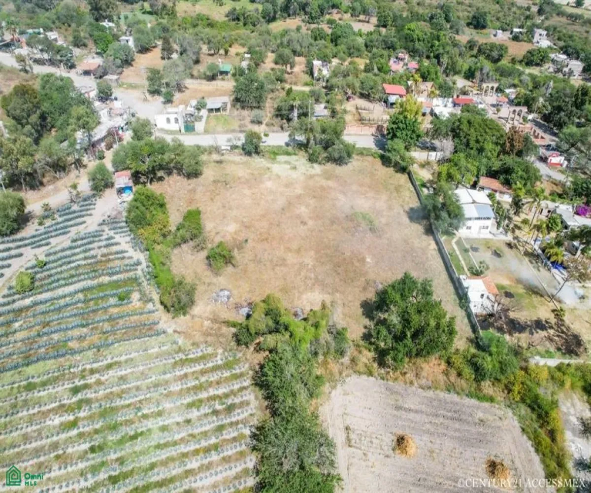 Terreno En Venta,Hacienda de la Labor,Juarez L1 M6, Chapala, Jalisco 45901,Juarez,MX23542641 Terreno En Venta,Hacienda de la Labor,Juarez L1 M6, Chapala, Jalisco 45901,Juarez,MX23542641