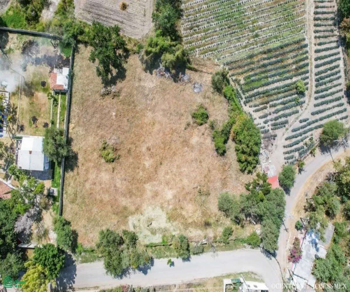 Terreno En Venta,Hacienda de la Labor,Juarez L1 M6, Chapala, Jalisco 45901,Juarez,MX23542641 Terreno En Venta,Hacienda de la Labor,Juarez L1 M6, Chapala, Jalisco 45901,Juarez,MX23542641