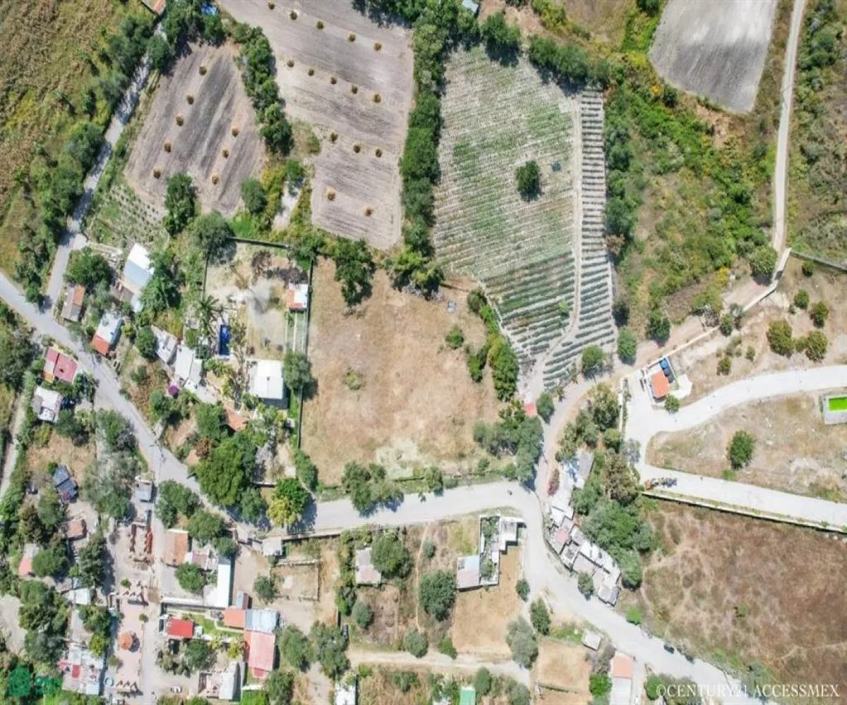 Terreno En Venta,Hacienda de la Labor,Juarez L1 M6, Chapala, Jalisco 45901,Juarez,MX23542641 Terreno En Venta,Hacienda de la Labor,Juarez L1 M6, Chapala, Jalisco 45901,Juarez,MX23542641