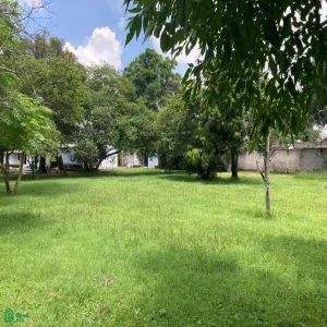 Terreno En Venta,Los Cajetes,San Antonio 40, Zapopan, Jalisco 45234,San Antonio,MX24103719