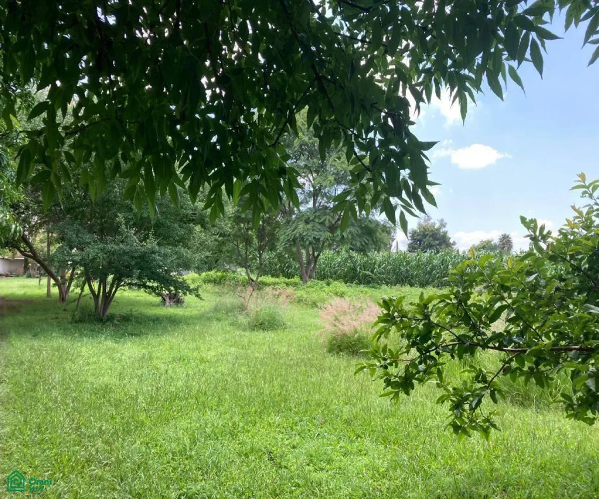 Terreno En Venta,Los Cajetes,San Antonio 40, Zapopan, Jalisco 45234,San Antonio,MX24103719