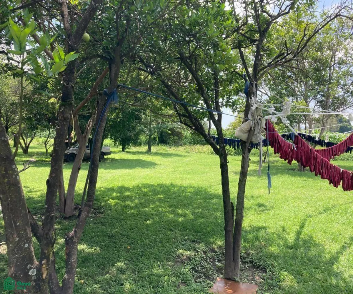 Terreno En Venta,Los Cajetes,San Antonio 40, Zapopan, Jalisco 45234,San Antonio,MX24103719