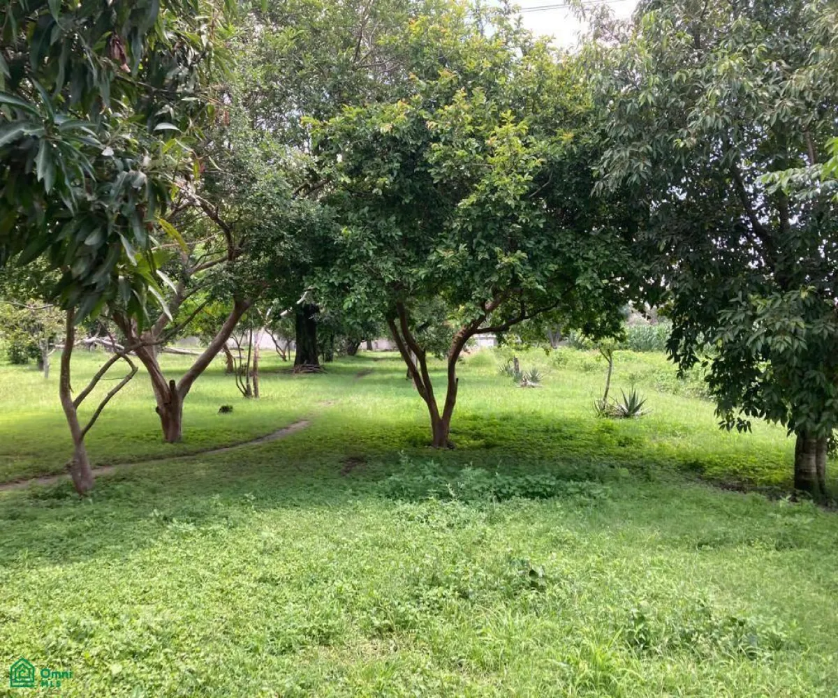 Terreno En Venta,Los Cajetes,San Antonio 40, Zapopan, Jalisco 45234,San Antonio,MX24103719