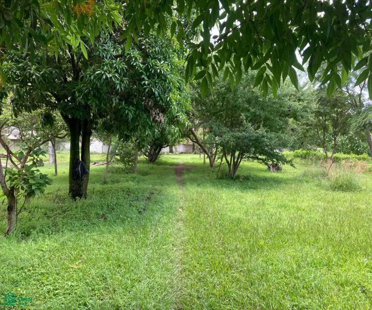 Terreno En Venta,Los Cajetes,San Antonio 40, Zapopan, Jalisco 45234,San Antonio,MX24103719