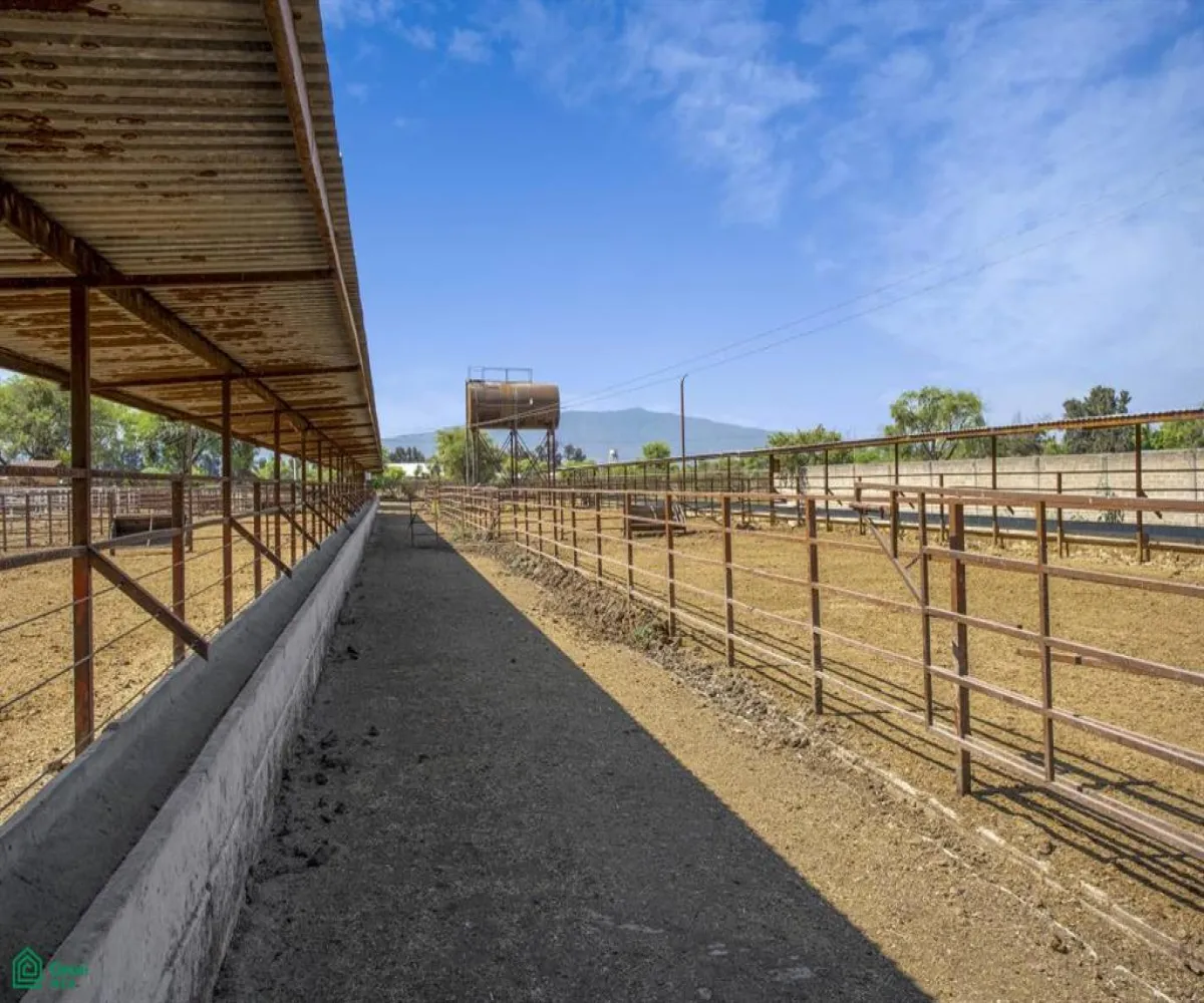 Local En Venta,San José del Valle,San José del Valle S/N, Tlajomulco de Zuniga, Jalisco 45653, 8 Habitaciones,3 Baños,San José del Valle,MX2425074 Local En Venta,San José del Valle,San José del Valle S/N, Tlajomulco de Zuniga, Jalisco 45653, 8 Habitaciones,3 Baños,San José del Valle,MX2425074