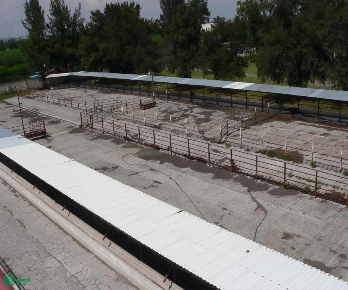 Local En Venta,San José del Valle,San José del Valle S/N, Tlajomulco de Zuniga, Jalisco 45653, 8 Habitaciones,3 Baños,San José del Valle,MX2425074 Local En Venta,San José del Valle,San José del Valle S/N, Tlajomulco de Zuniga, Jalisco 45653, 8 Habitaciones,3 Baños,San José del Valle,MX2425074