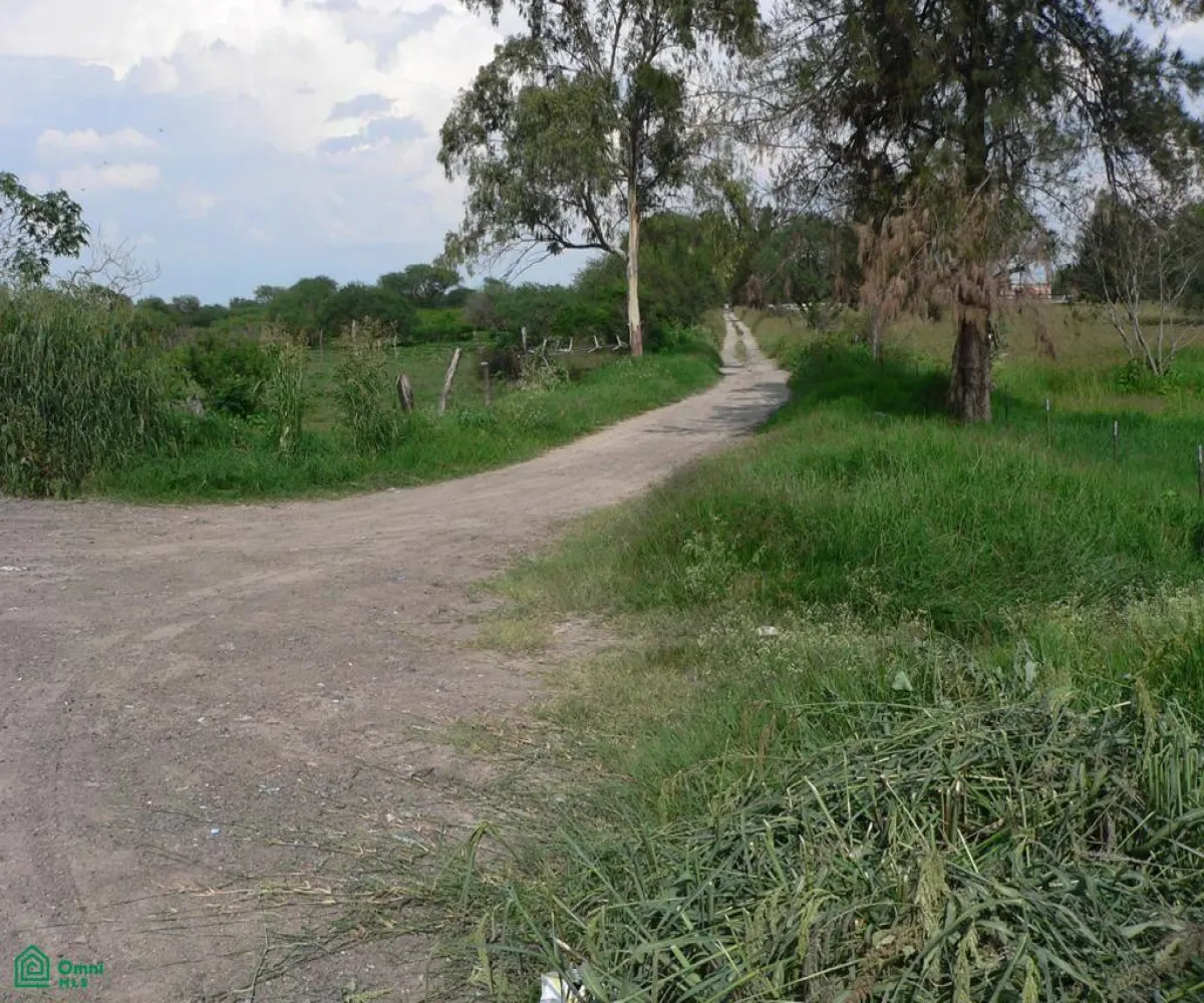 Local En Venta,San José del Valle,San José del Valle S/N, Tlajomulco de Zuniga, Jalisco 45653, 8 Habitaciones,3 Baños,San José del Valle,MX2425074 Local En Venta,San José del Valle,San José del Valle S/N, Tlajomulco de Zuniga, Jalisco 45653, 8 Habitaciones,3 Baños,San José del Valle,MX2425074