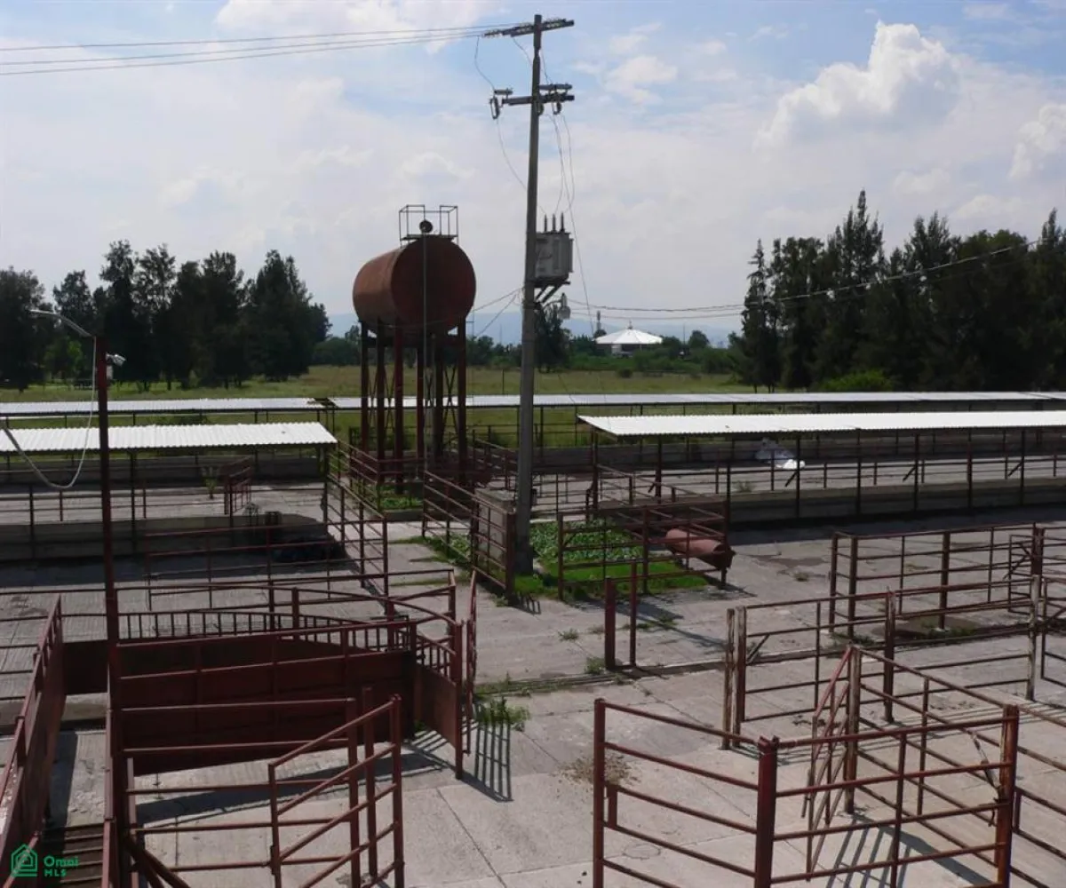 Local En Venta,San José del Valle,San José del Valle S/N, Tlajomulco de Zuniga, Jalisco 45653, 8 Habitaciones,3 Baños,San José del Valle,MX2425074 Local En Venta,San José del Valle,San José del Valle S/N, Tlajomulco de Zuniga, Jalisco 45653, 8 Habitaciones,3 Baños,San José del Valle,MX2425074