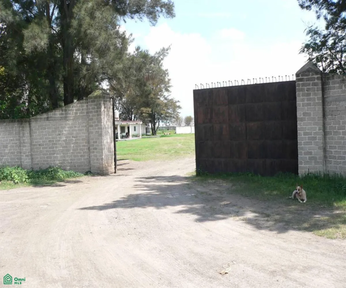 Local En Venta,San José del Valle,San José del Valle S/N, Tlajomulco de Zuniga, Jalisco 45653, 8 Habitaciones,3 Baños,San José del Valle,MX2425074 Local En Venta,San José del Valle,San José del Valle S/N, Tlajomulco de Zuniga, Jalisco 45653, 8 Habitaciones,3 Baños,San José del Valle,MX2425074