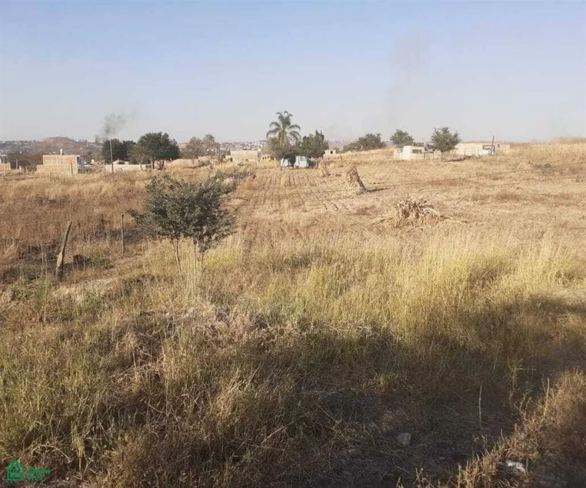 Terreno En Venta,San Martín de las Flores de Arriba,Potrero el Zalate S/N, Tlaquepaque, Jalisco 45620,Potrero el Zalate,MX24456242