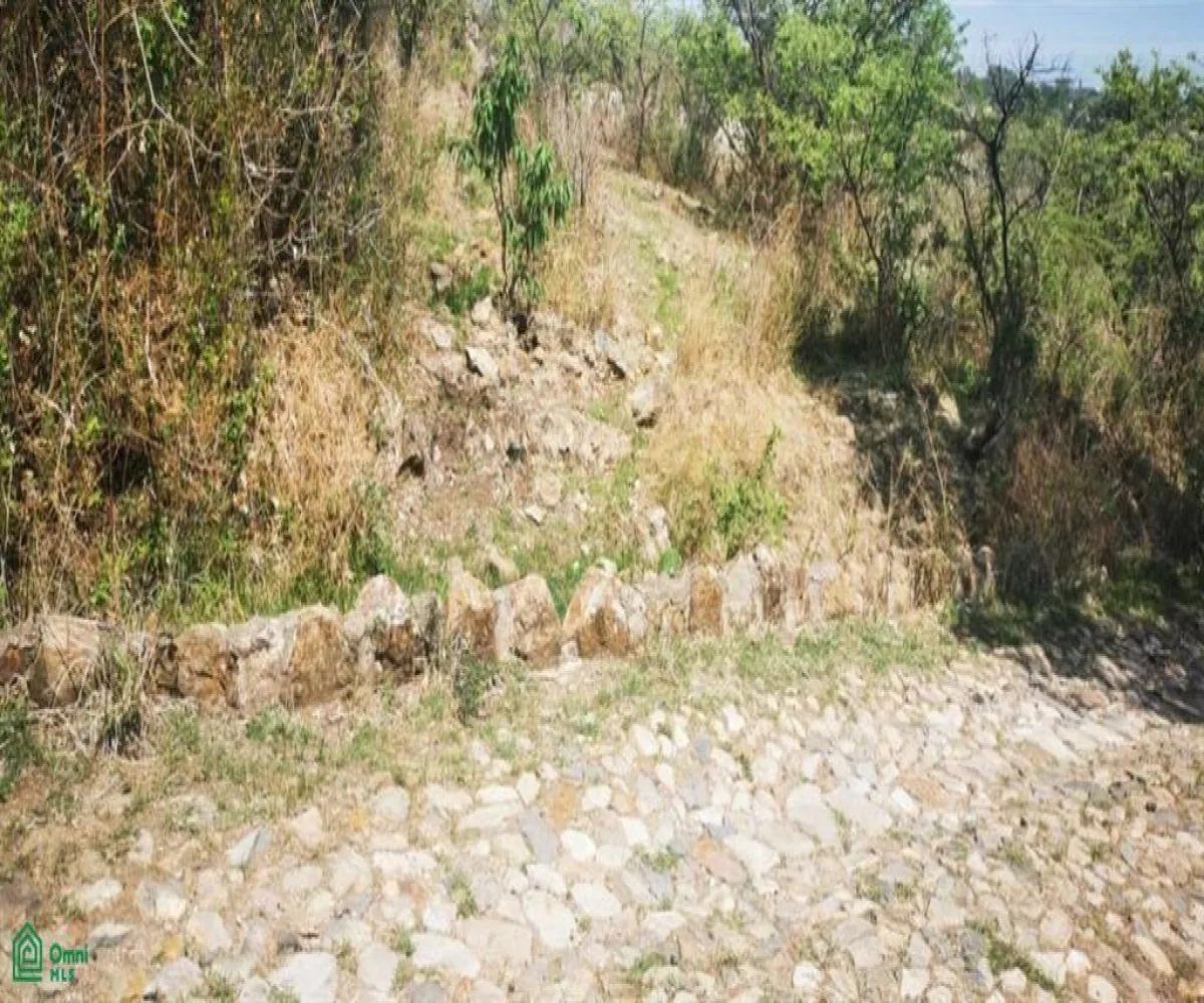 Terreno En Venta,San Nicolás de Ibarra,Paseo Del Tapir (Lomas Del Country) FA 2 Int. M12P, Chapala, Jalisco 45940,Paseo Del Tapir (Lomas Del Country),MX24467233 Terreno En Venta,San Nicolás de Ibarra,Paseo Del Tapir (Lomas Del Country) FA 2 Int. M12P, Chapala, Jalisco 45940,Paseo Del Tapir (Lomas Del Country),MX24467233