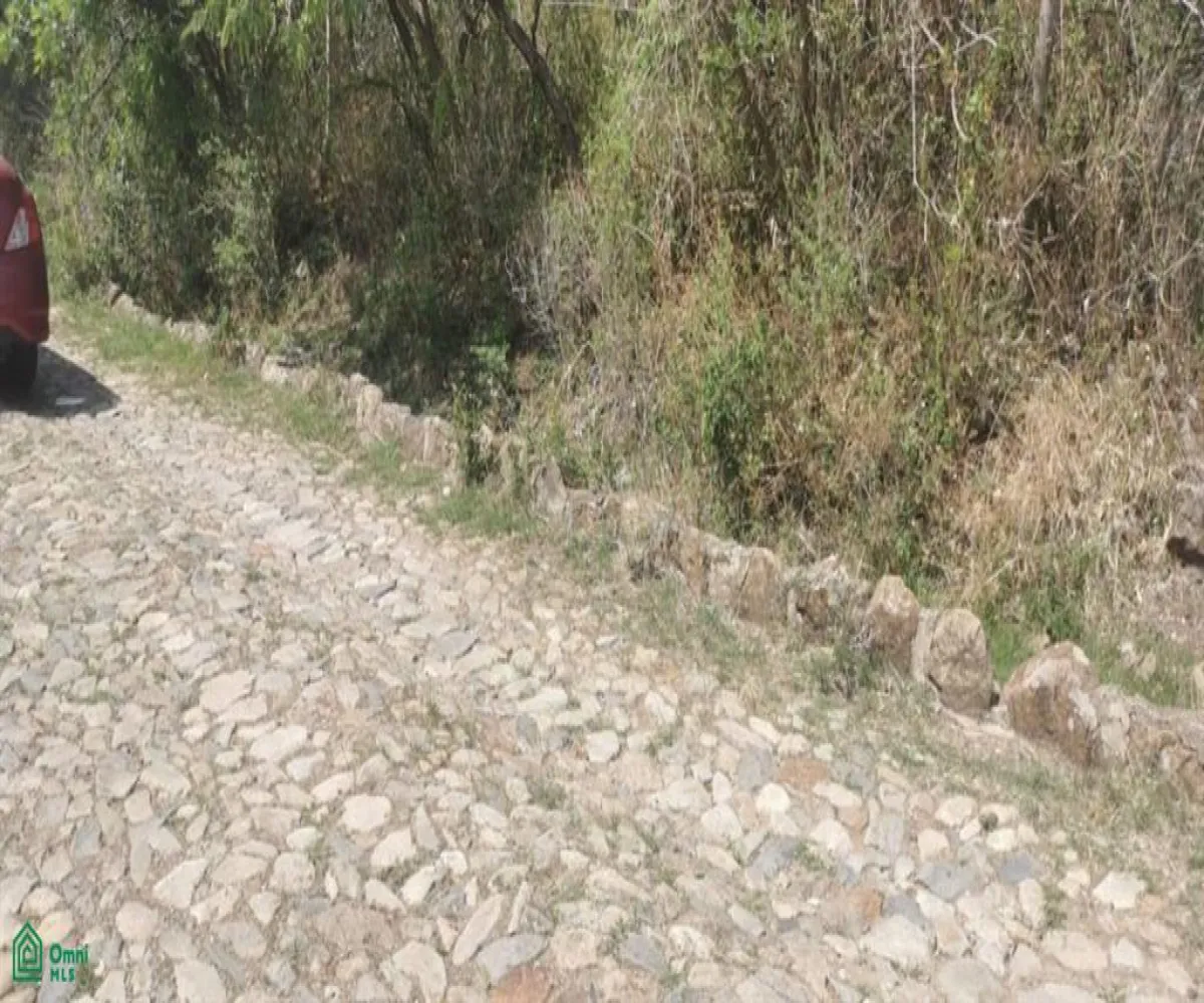 Terreno En Venta,San Nicolás de Ibarra,Paseo Del Tapir (Lomas Del Country) FA 2 Int. M12P, Chapala, Jalisco 45940,Paseo Del Tapir (Lomas Del Country),MX24467233 Terreno En Venta,San Nicolás de Ibarra,Paseo Del Tapir (Lomas Del Country) FA 2 Int. M12P, Chapala, Jalisco 45940,Paseo Del Tapir (Lomas Del Country),MX24467233