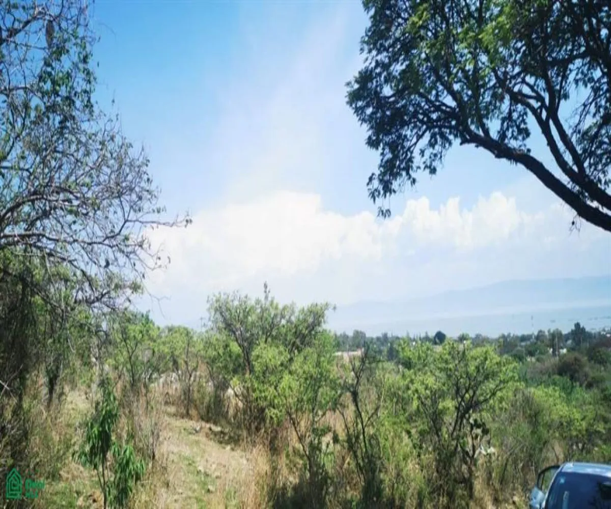 Terreno En Venta,San Nicolás de Ibarra,Paseo Del Tapir (Lomas Del Country) FA 2 Int. M12P, Chapala, Jalisco 45940,Paseo Del Tapir (Lomas Del Country),MX24467233 Terreno En Venta,San Nicolás de Ibarra,Paseo Del Tapir (Lomas Del Country) FA 2 Int. M12P, Chapala, Jalisco 45940,Paseo Del Tapir (Lomas Del Country),MX24467233