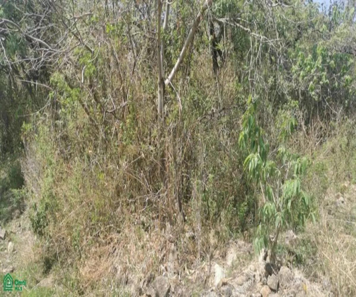 Terreno En Venta,San Nicolás de Ibarra,Paseo Del Tapir (Lomas Del Country) FA 2 Int. M12P, Chapala, Jalisco 45940,Paseo Del Tapir (Lomas Del Country),MX24467233 Terreno En Venta,San Nicolás de Ibarra,Paseo Del Tapir (Lomas Del Country) FA 2 Int. M12P, Chapala, Jalisco 45940,Paseo Del Tapir (Lomas Del Country),MX24467233