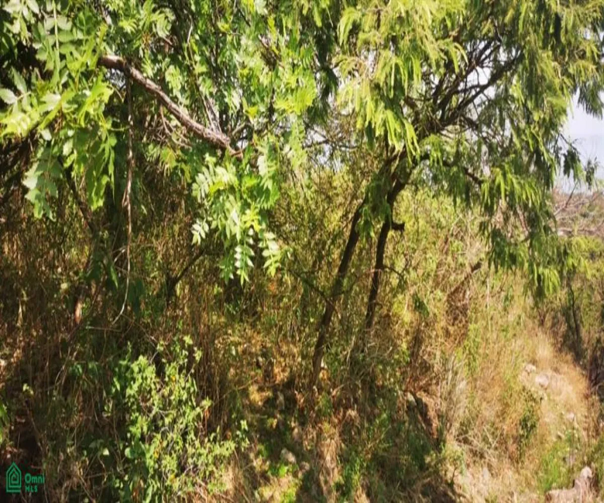 Terreno En Venta,San Nicolás de Ibarra,Paseo Del Tapir (Lomas Del Country) FA 2 Int. M12P, Chapala, Jalisco 45940,Paseo Del Tapir (Lomas Del Country),MX24467233 Terreno En Venta,San Nicolás de Ibarra,Paseo Del Tapir (Lomas Del Country) FA 2 Int. M12P, Chapala, Jalisco 45940,Paseo Del Tapir (Lomas Del Country),MX24467233