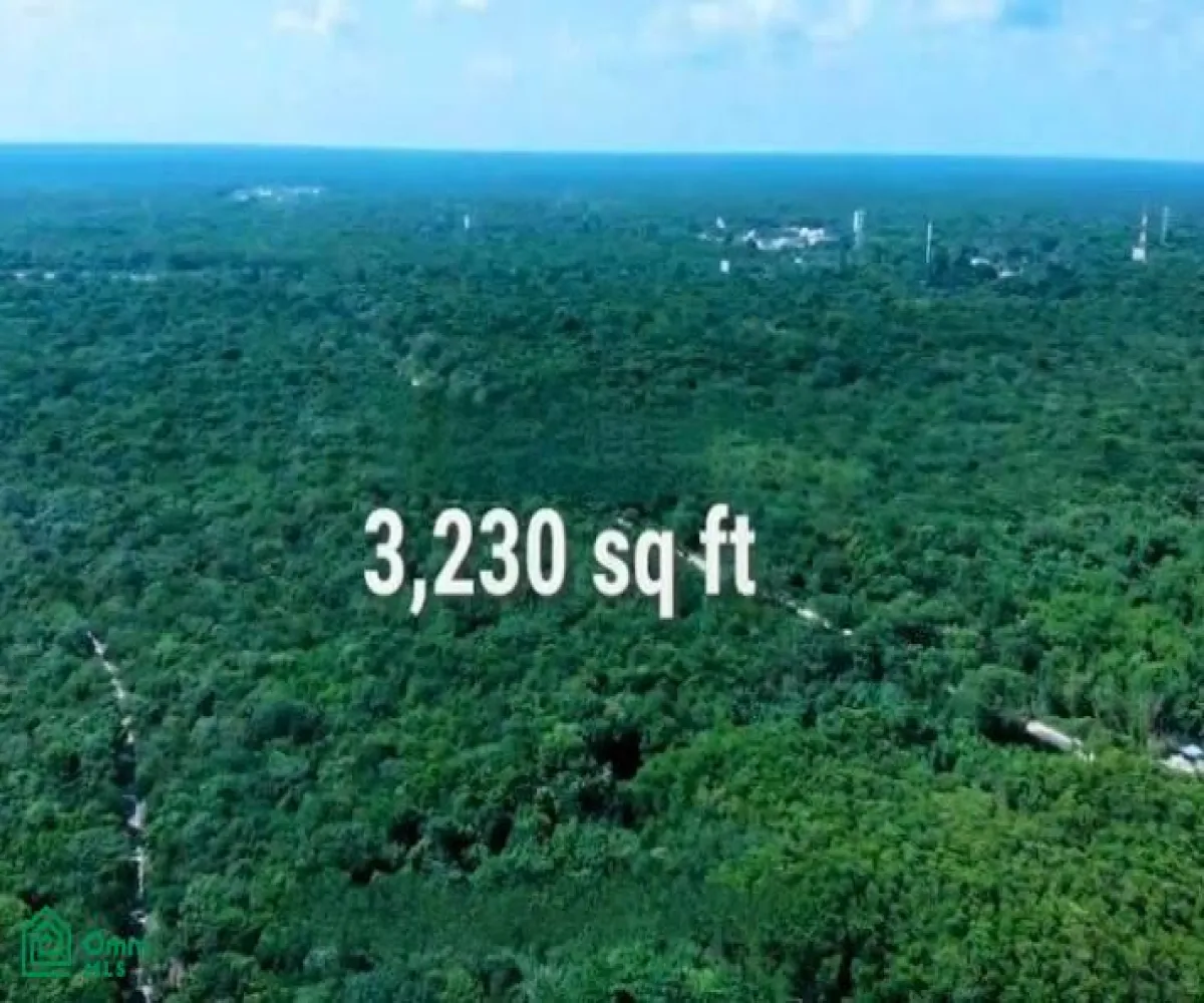 Terreno En Venta,El Olivo,Punta Paraiso Km 86, Zapopan, Jalisco 77719,Punta Paraiso,MX24536148