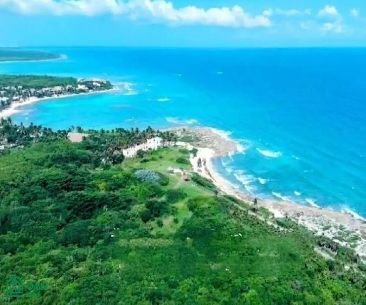 Terreno En Venta,El Olivo,Punta Paraiso Km 86, Zapopan, Jalisco 77719,Punta Paraiso,MX24536148