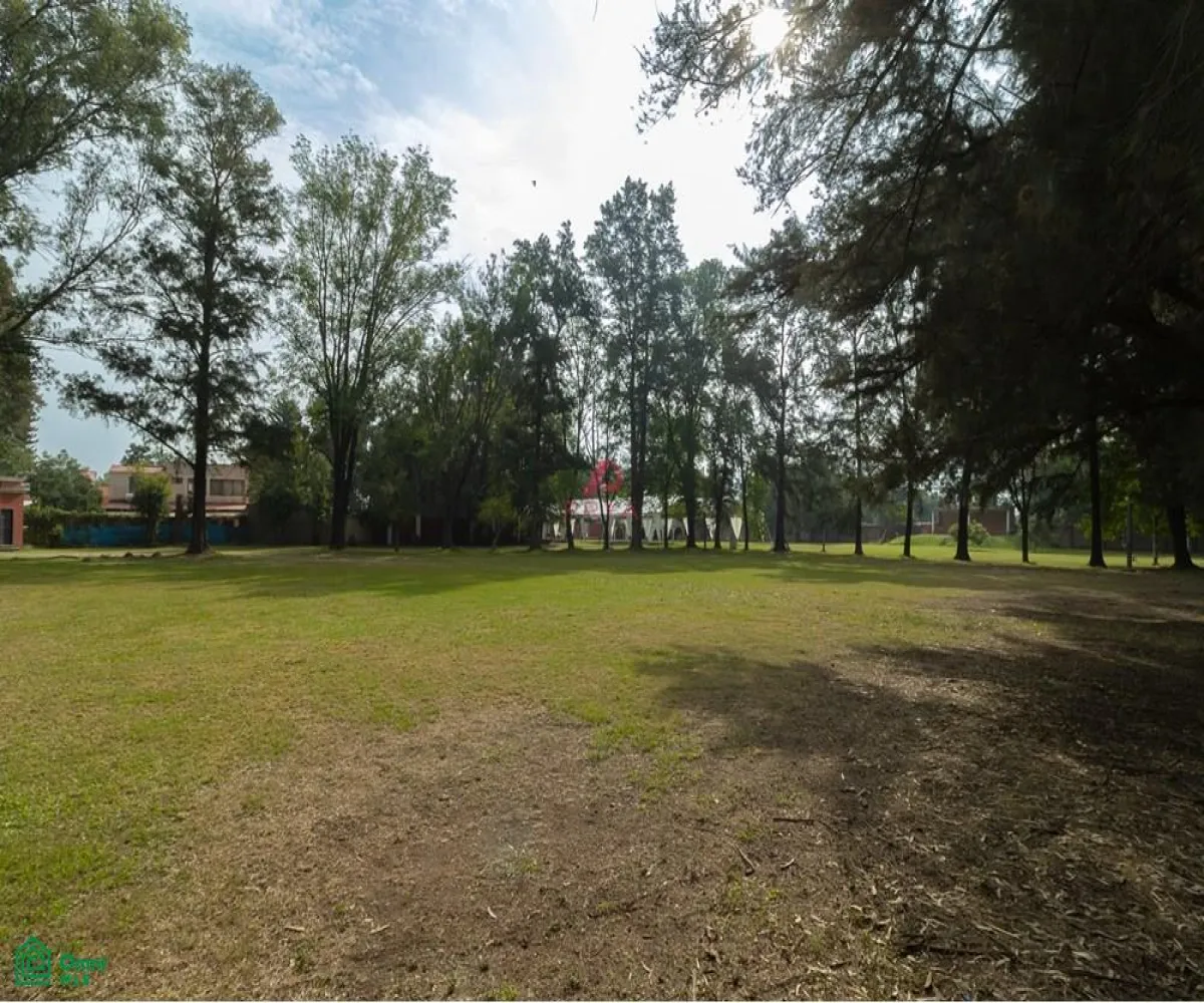 Local En Venta,San Agustín,JARDIN DE LOS TEJONES S/N, Tlajomulco de Zuniga, Jalisco 45645,JARDIN DE LOS TEJONES,1,MX24566880