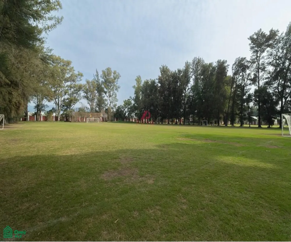 Local En Venta,San Agustín,JARDIN DE LOS TEJONES S/N, Tlajomulco de Zuniga, Jalisco 45645,JARDIN DE LOS TEJONES,1,MX24566880