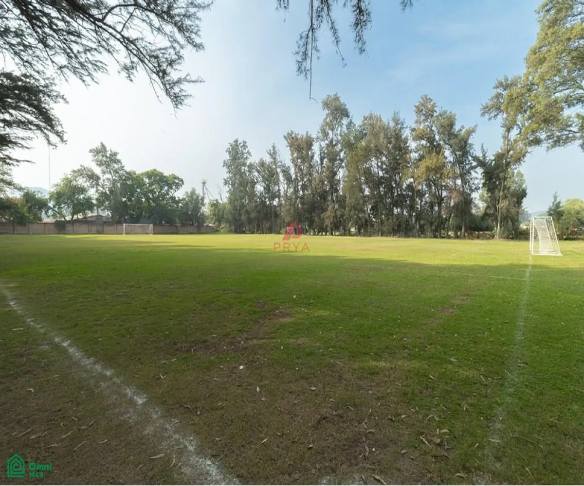 Local En Venta,San Agustín,JARDIN DE LOS TEJONES S/N, Tlajomulco de Zuniga, Jalisco 45645,JARDIN DE LOS TEJONES,1,MX24566880