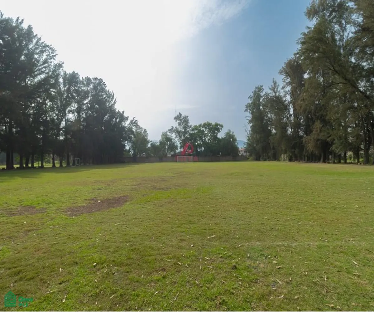 Local En Venta,San Agustín,JARDIN DE LOS TEJONES S/N, Tlajomulco de Zuniga, Jalisco 45645,JARDIN DE LOS TEJONES,1,MX24566880