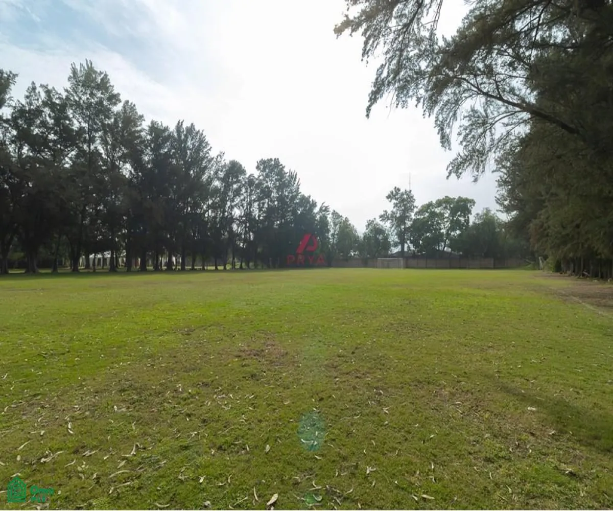 Local En Venta,San Agustín,JARDIN DE LOS TEJONES S/N, Tlajomulco de Zuniga, Jalisco 45645,JARDIN DE LOS TEJONES,1,MX24566880