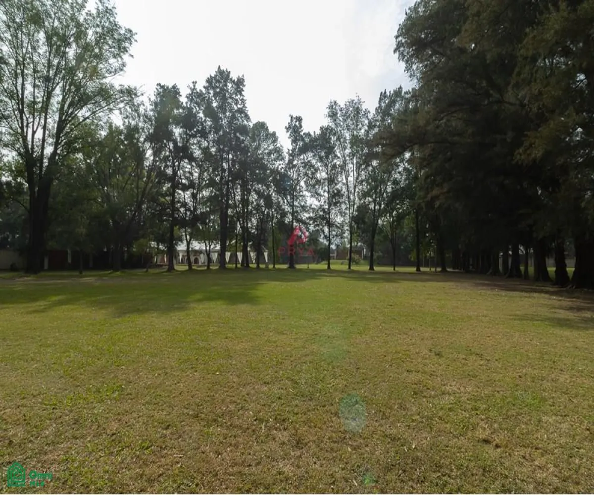 Local En Venta,San Agustín,JARDIN DE LOS TEJONES S/N, Tlajomulco de Zuniga, Jalisco 45645,JARDIN DE LOS TEJONES,1,MX24566880