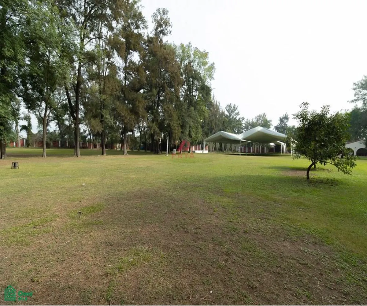 Local En Venta,San Agustín,JARDIN DE LOS TEJONES S/N, Tlajomulco de Zuniga, Jalisco 45645,JARDIN DE LOS TEJONES,1,MX24566880