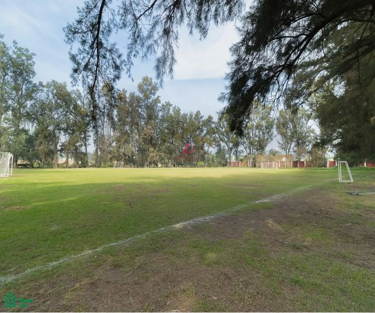 Local En Venta,San Agustín,JARDIN DE LOS TEJONES S/N, Tlajomulco de Zuniga, Jalisco 45645,JARDIN DE LOS TEJONES,1,MX24568182