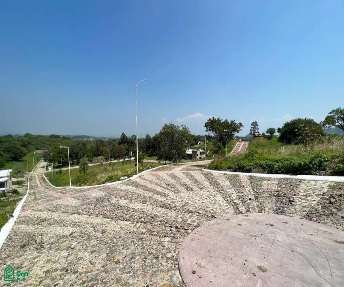 Terreno En Venta,Chapala Centro,Paseo de la Montaña L105, Chapala, Jalisco 45900,Paseo de la Montaña,MX24582533