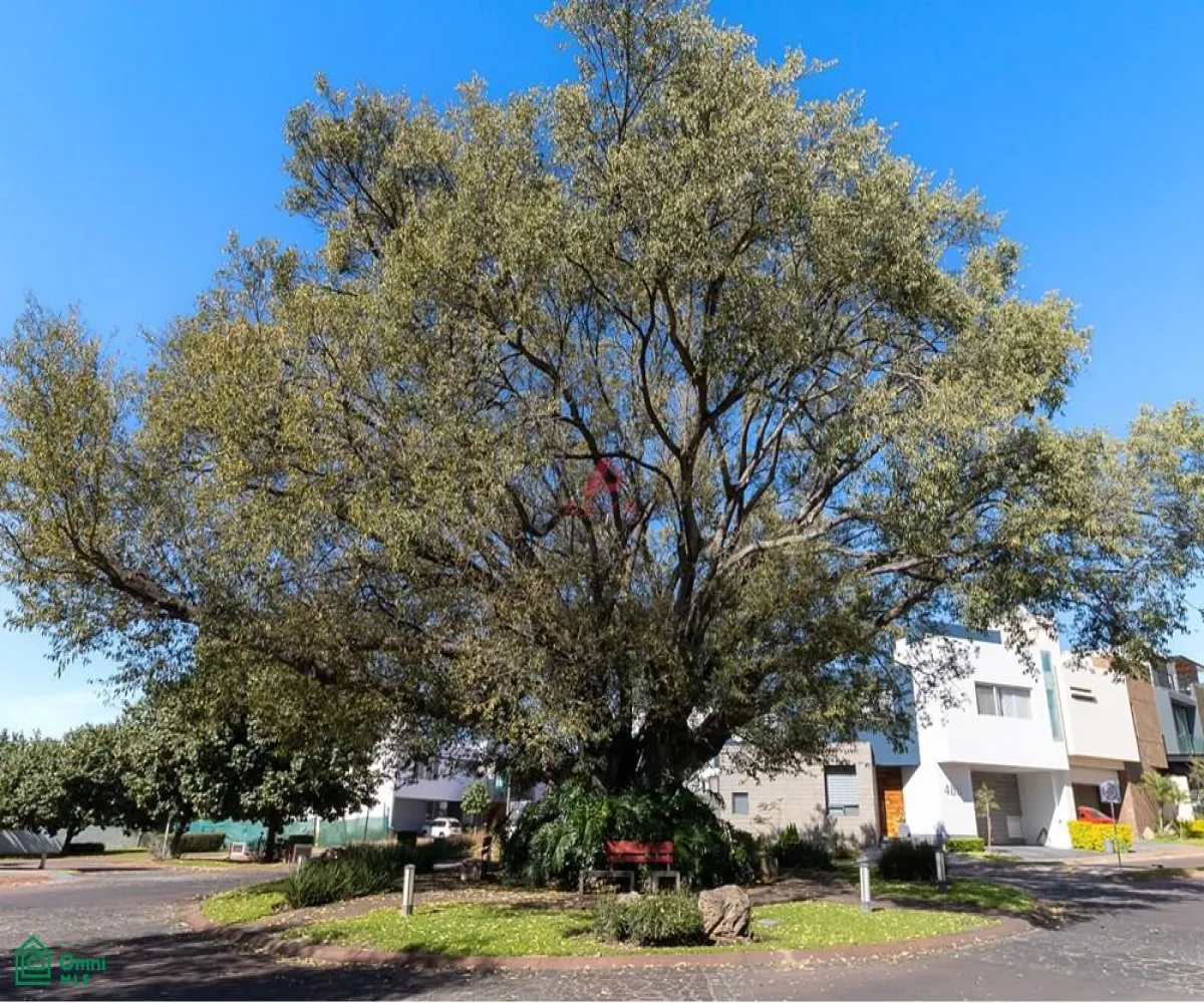 En Venta,LA RIOJA,S/N, Tlajomulco de Zuniga, Jalisco 45645, 2 Habitaciones,2 Baños,MX24584274