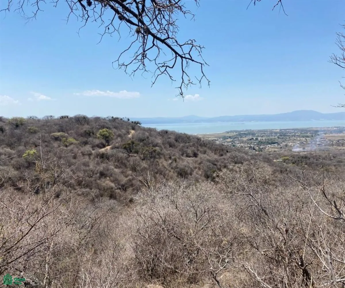 Terreno En Venta,San Nicolás de Ibarra,Sin calle Sin número, Chapala, Jalisco 45940,Sin calle,MX24622660 Terreno En Venta,San Nicolás de Ibarra,Sin calle Sin número, Chapala, Jalisco 45940,Sin calle,MX24622660