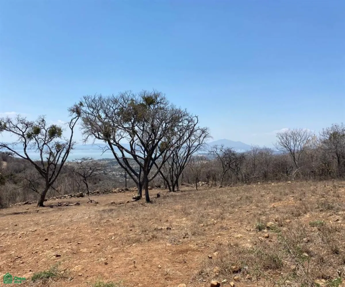 Terreno En Venta,San Nicolás de Ibarra,Sin calle Sin número, Chapala, Jalisco 45940,Sin calle,MX24622660 Terreno En Venta,San Nicolás de Ibarra,Sin calle Sin número, Chapala, Jalisco 45940,Sin calle,MX24622660