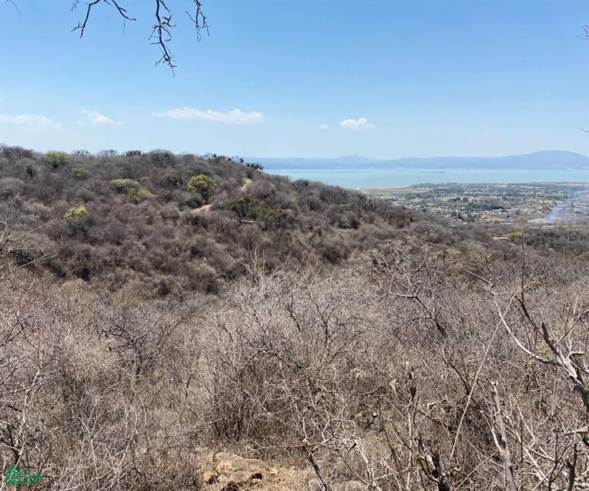 Terreno En Venta,San Nicolás de Ibarra,Sin calle Sin número, Chapala, Jalisco 45940,Sin calle,MX24622660 Terreno En Venta,San Nicolás de Ibarra,Sin calle Sin número, Chapala, Jalisco 45940,Sin calle,MX24622660