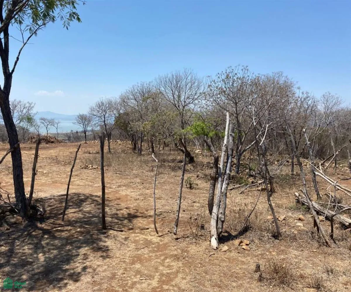 Terreno En Venta,San Nicolás de Ibarra,Sin calle Sin número, Chapala, Jalisco 45940,Sin calle,MX24622660 Terreno En Venta,San Nicolás de Ibarra,Sin calle Sin número, Chapala, Jalisco 45940,Sin calle,MX24622660