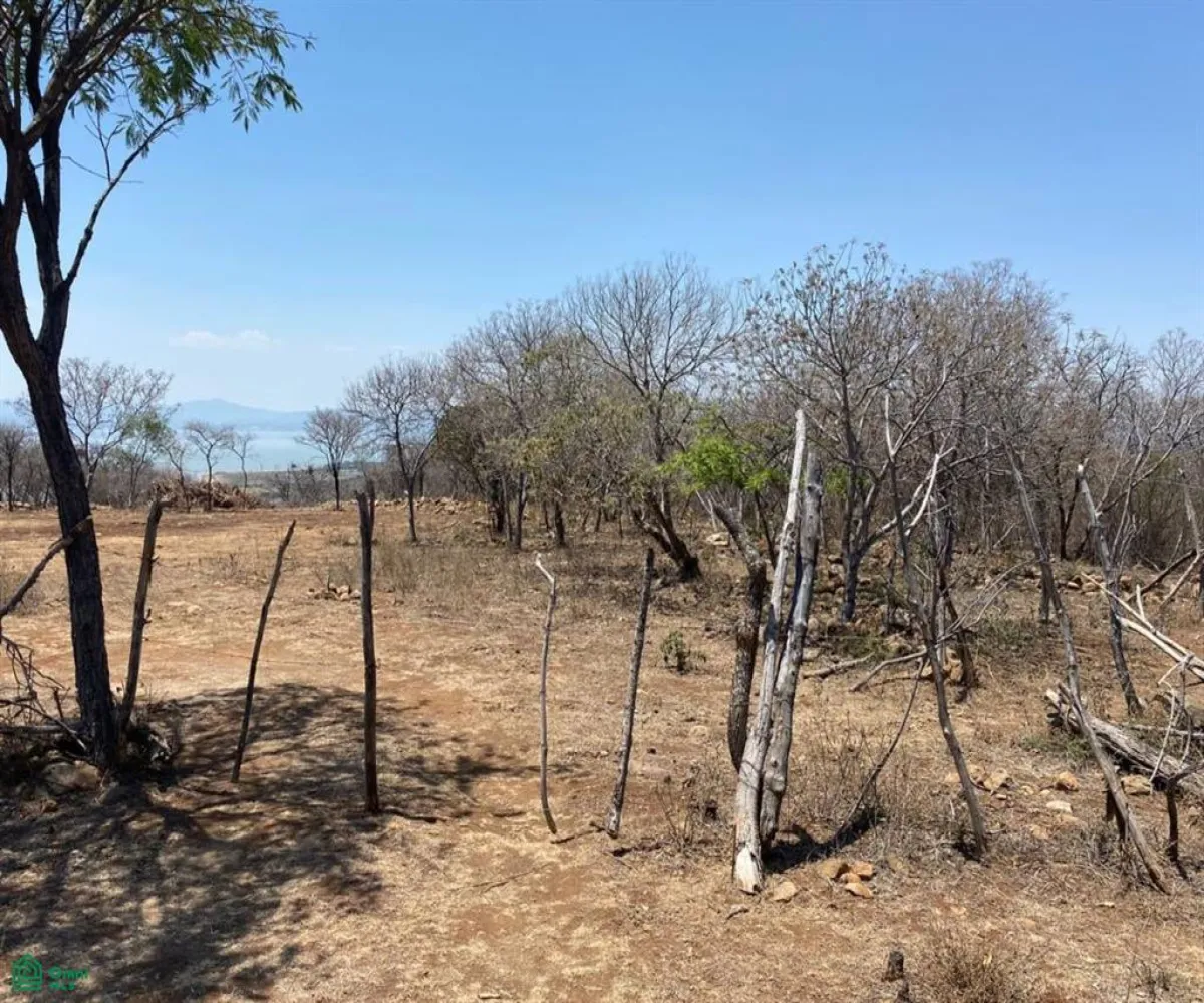Terreno En Venta,San Nicolás de Ibarra,Sin calle Sin número, Chapala, Jalisco 45940,Sin calle,MX24622660 Terreno En Venta,San Nicolás de Ibarra,Sin calle Sin número, Chapala, Jalisco 45940,Sin calle,MX24622660