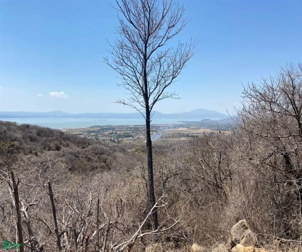 Terreno En Venta,San Nicolás de Ibarra,Sin calle Sin número, Chapala, Jalisco 45940,Sin calle,MX24622660 Terreno En Venta,San Nicolás de Ibarra,Sin calle Sin número, Chapala, Jalisco 45940,Sin calle,MX24622660